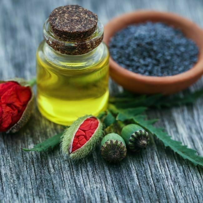 olio papavero per pittura